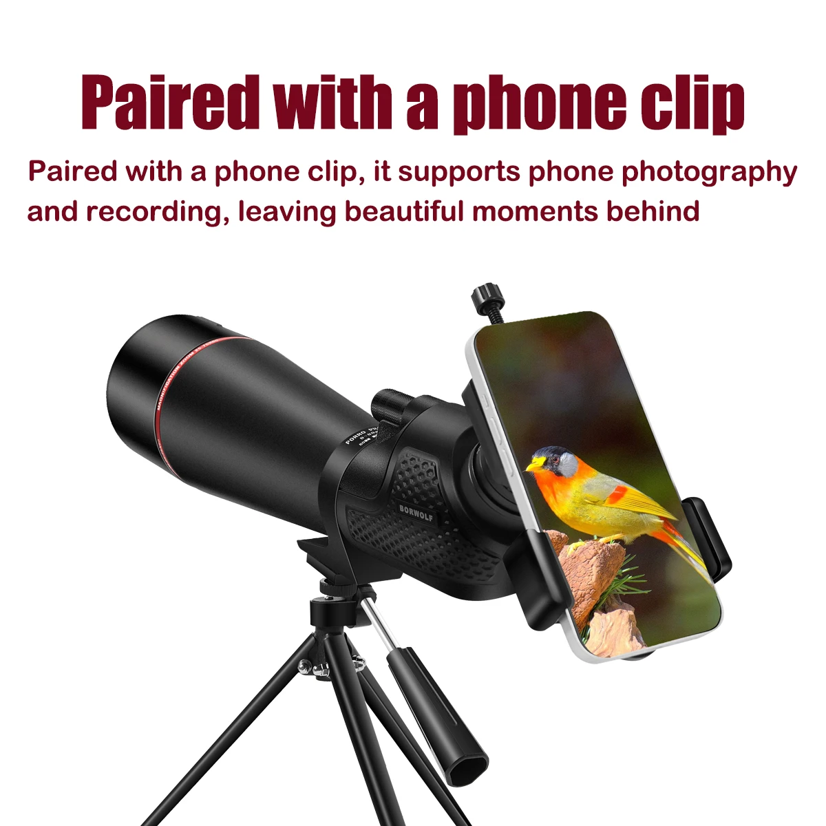 BORWOLF 25-75x80 Telescope Spotting Scope Powerful Zoom Monocular BAK4 Waterproof For Bird Watching Target Shotting With Tripod