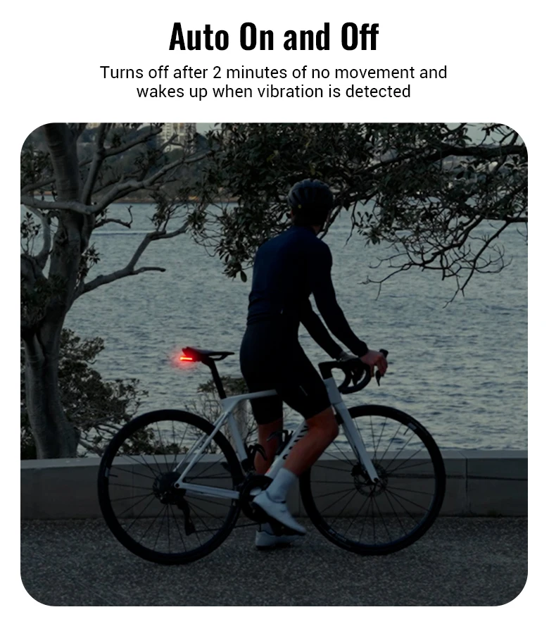 RAVEMEN CL50/CL100/CL200 Bike Rear Light Bicycle LED Taillight Lamp USB-C Rechargeable Auto On-off Brake Sensor Side Visibility