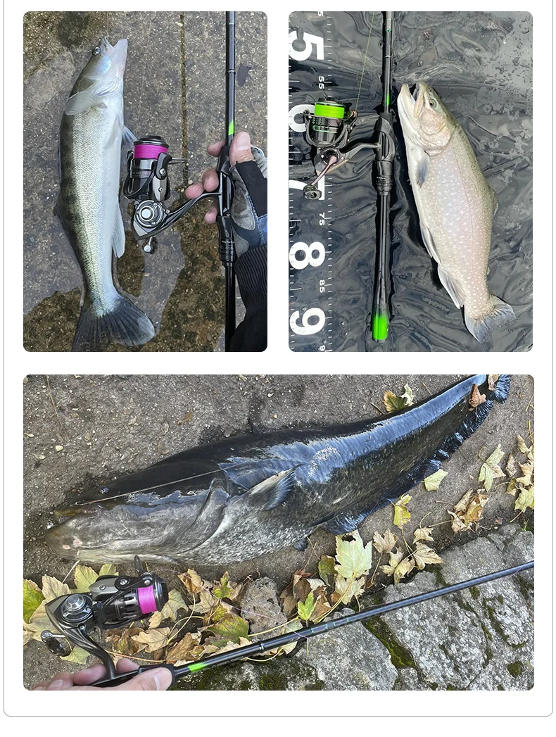 PURELURE ZERO Small Bait Light High Carbon Long Throwing Rod Rock Fishing Spinning Trout Rod BFS Fishing Casting UL Stream Bass