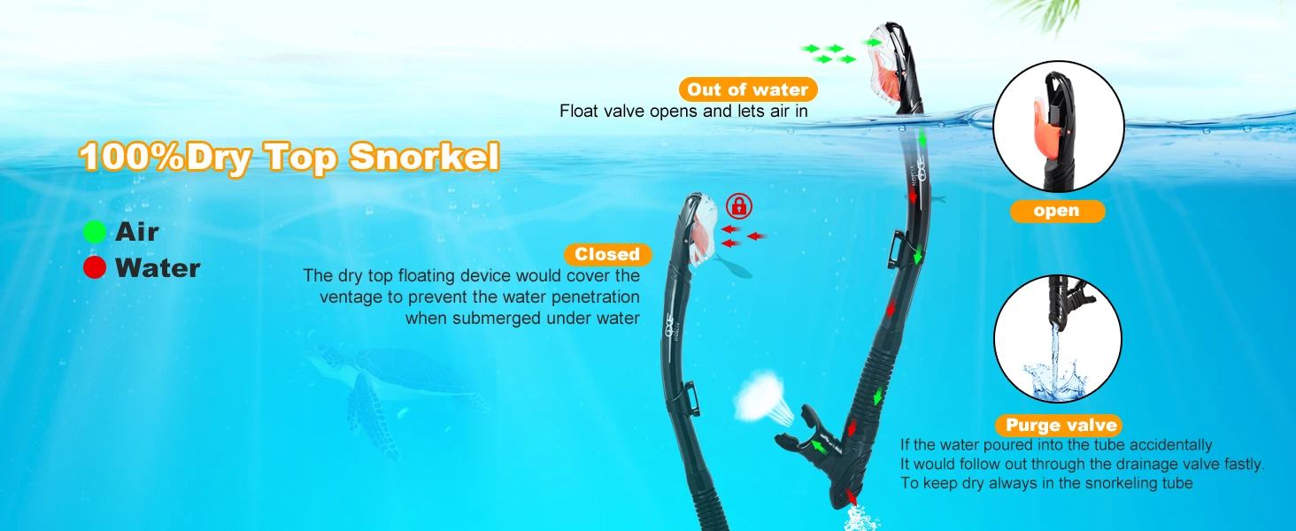 Snorkel Set Adult Professional Snorkeling Goggles Anti-Fog Diving Mask with Dry Top Snorkel, Pano 3 Windows Snorkel Diving Mask