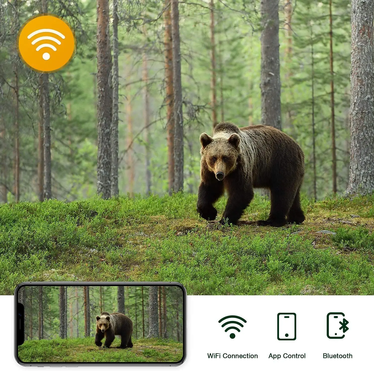 WIFI900 4k Wifi Hunting Cameras 940nm APP Surveillance Wireless Bluetooth Control Night Vision Wildlife Photo Traps Camera