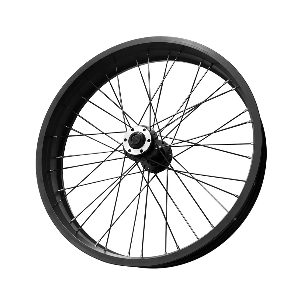 Bicycle Wheel Aluminum Alloy Front Wheel 20 X 4.0 36 Spokes Wide Tire Bicycle For Fat Bikes Snow Bikes