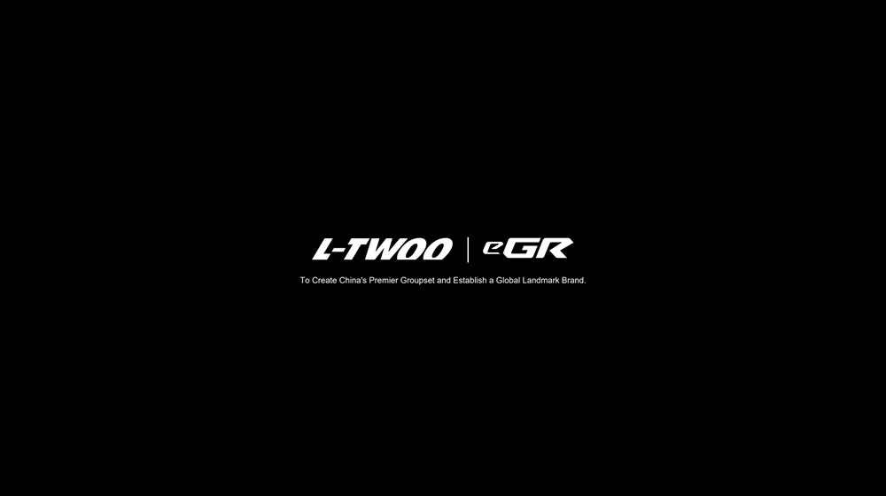 2026 New LTWOO EGR 1x13s / 1x12s / 1x11s / 1x10s Wireless Gravel Electronic Groupset for Gravel Bike, APP Programming