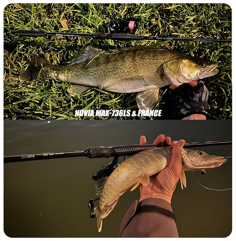 PURELURE NEW NDVIA MAX Ajing And Eging Tubular Tip 8FT 8.3FT 8.6FT 1.2-10G Soft Lure And EGI F/MF Action Perch Pike Zander Squid