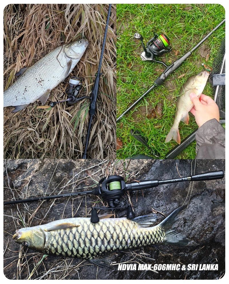 PURELURE NEW NDVIA MAX Ajing And Eging Tubular Tip 8FT 8.3FT 8.6FT 1.2-10G Soft Lure And EGI F/MF Action Perch Pike Zander Squid
