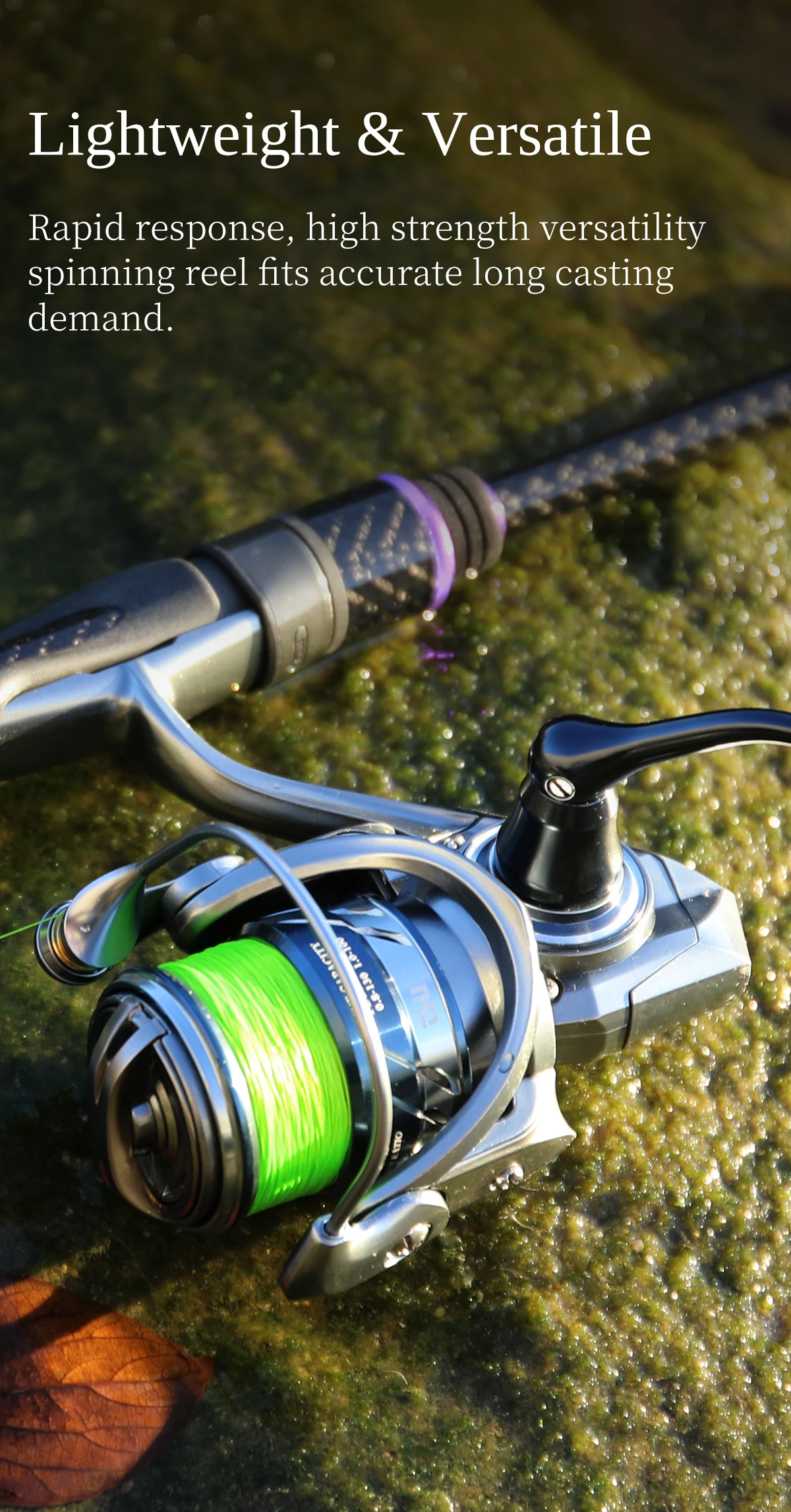 TSURINOYA Finesse MERLIN 1000 C2000S 165g METAL Spinning reel 5KG Max Drag Saltwater Reel Bass Pike Wheel