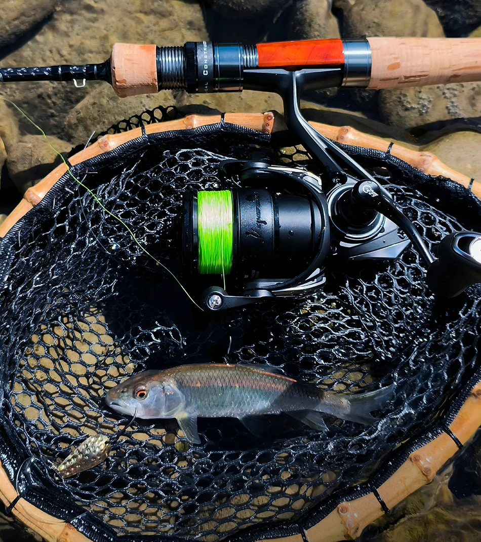 TSURINOYA Carbon Spinning Fishing Reel Kingfisher 800S 1000 1500 1500s Ultralight Weight 135g 10+1BB MicroLure Stream Trout Reel