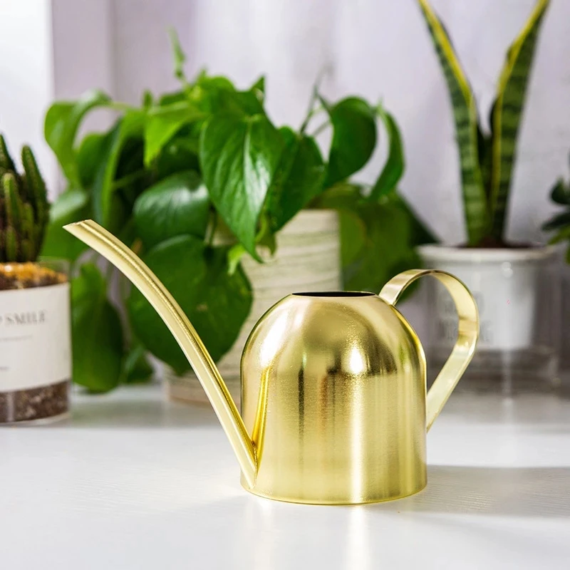 Stainless Steel Watering Can for Outdoor Plants, Long Spout Watering Pot, Watering Device, Meaty Bonsai Garden Tool, 500ml