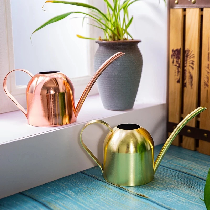 Stainless Steel Watering Can for Outdoor Plants, Long Spout Watering Pot, Watering Device, Meaty Bonsai Garden Tool, 500ml