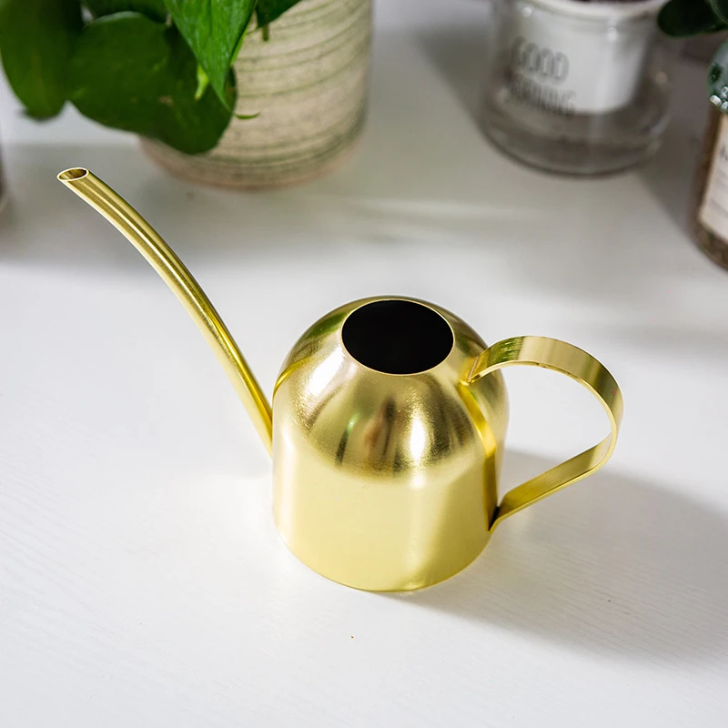 Stainless Steel Watering Can for Outdoor Plants, Long Spout Watering Pot, Watering Device, Meaty Bonsai Garden Tool, 500ml