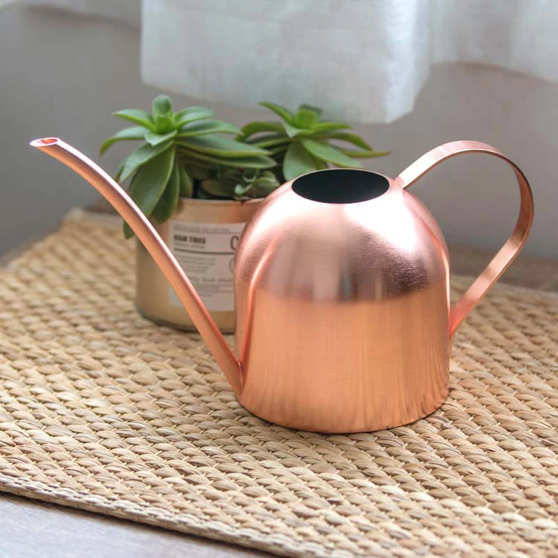 Stainless Steel Watering Can for Outdoor Plants, Long Spout Watering Pot, Watering Device, Meaty Bonsai Garden Tool, 500ml