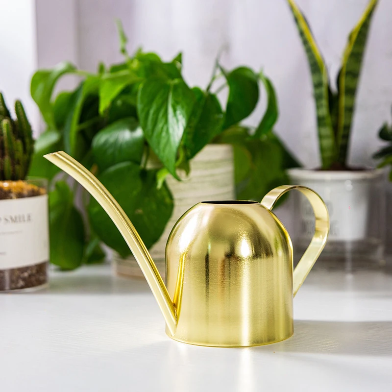 Stainless Steel Watering Can for Outdoor Plants, Long Spout Watering Pot, Watering Device, Meaty Bonsai Garden Tool, 500ml