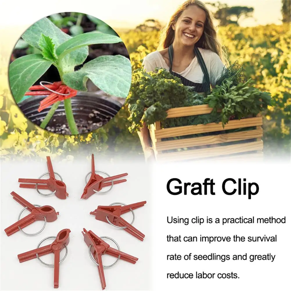 50 PCS Plastic Plant Clips Supports Connects Reusable Protection For Vegetable Cucumber Eggplant Watermelon Vine Seed Grafting
