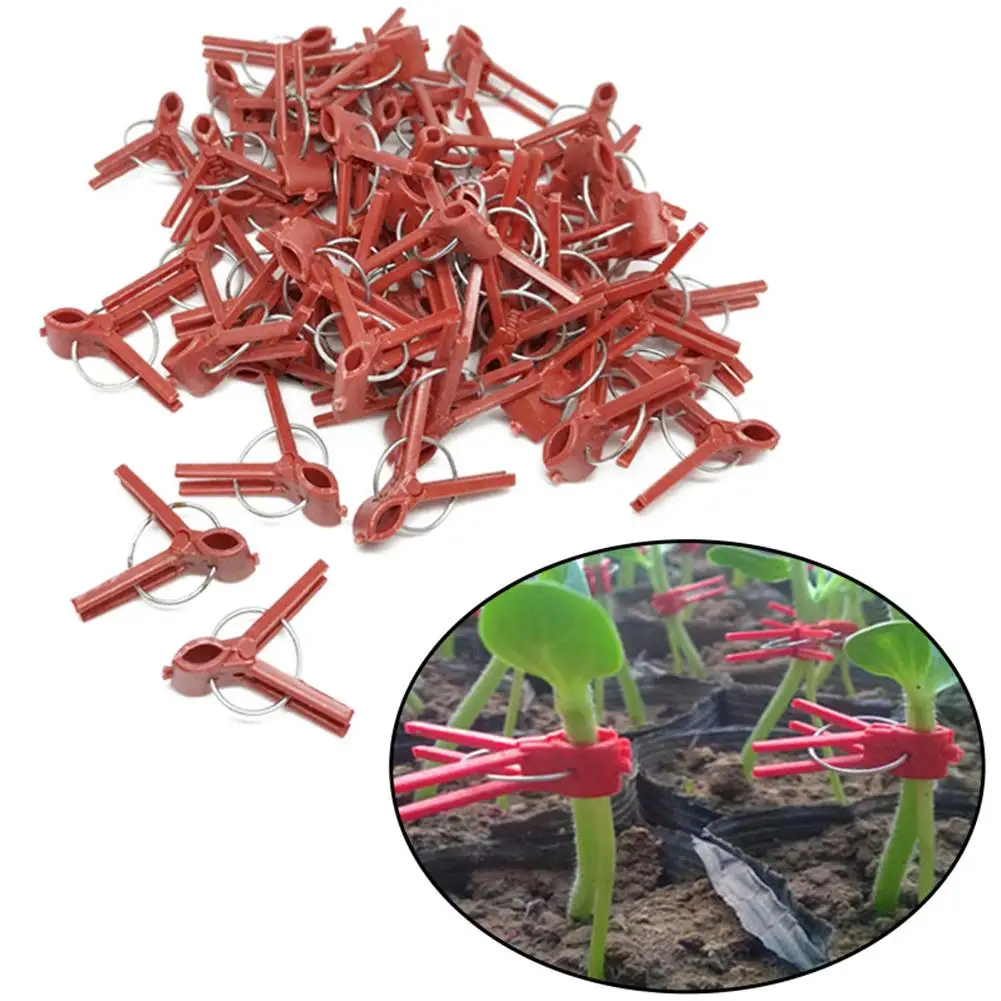 50 PCS Plastic Plant Clips Supports Connects Reusable Protection For Vegetable Cucumber Eggplant Watermelon Vine Seed Grafting