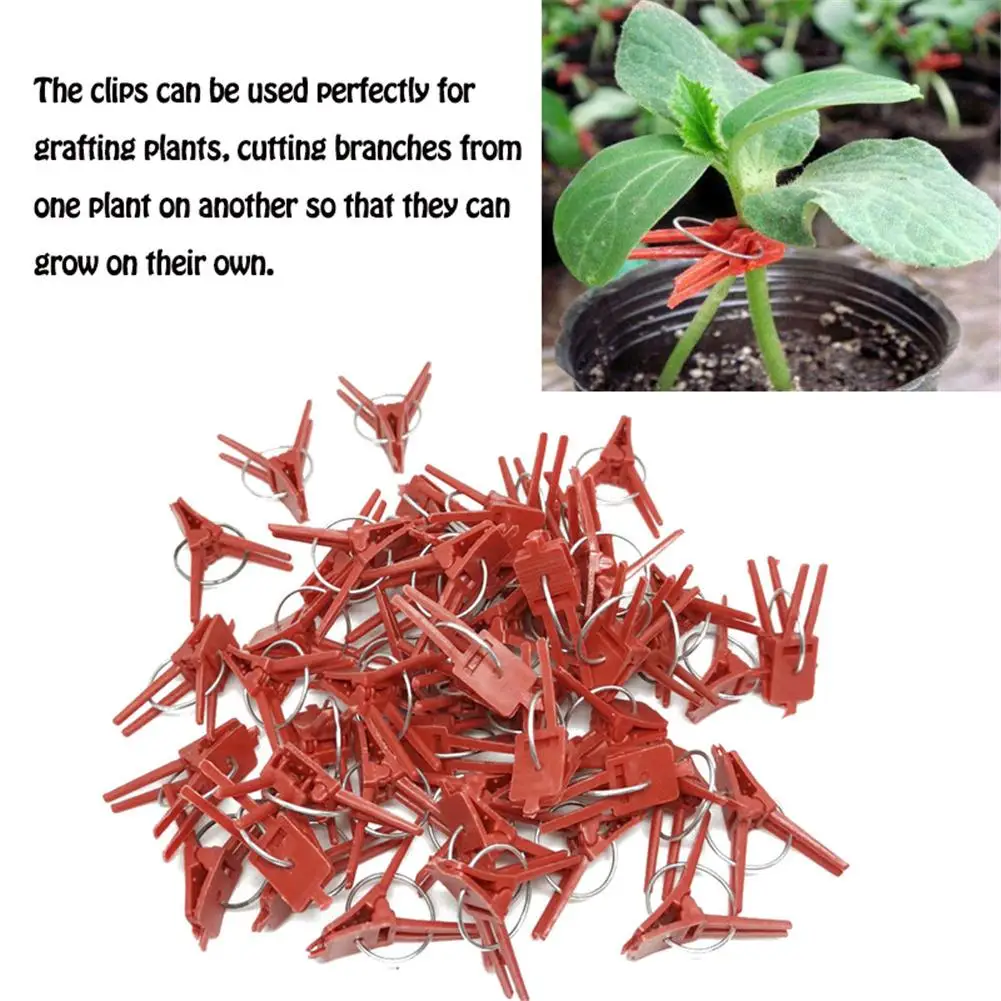 50 PCS Plastic Plant Clips Supports Connects Reusable Protection For Vegetable Cucumber Eggplant Watermelon Vine Seed Grafting