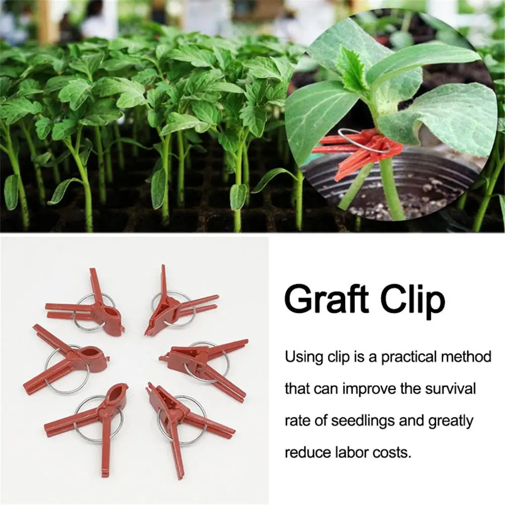 50 PCS Plastic Plant Clips Supports Connects Reusable Protection For Vegetable Cucumber Eggplant Watermelon Vine Seed Grafting