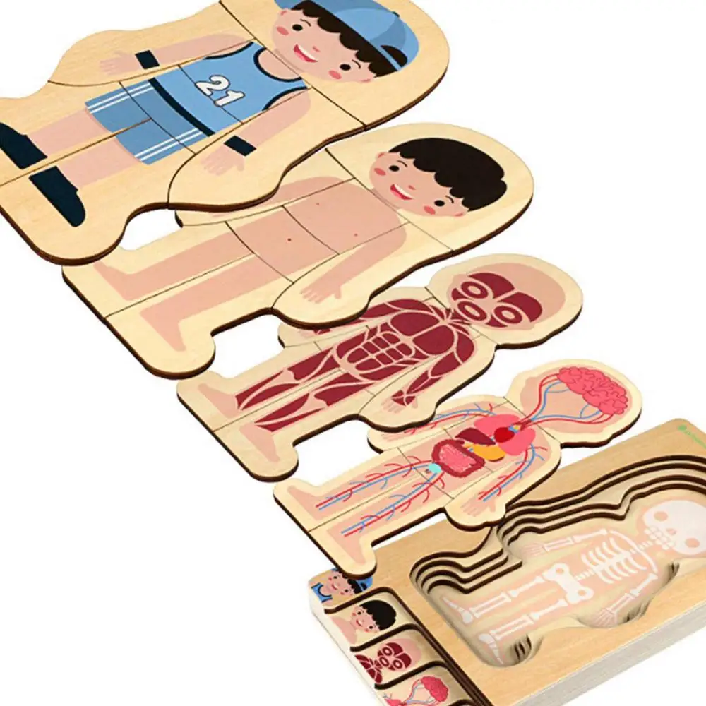 Human Body Puzzle Wooden Boys Girls Body Structure Children Puzzles Montessori Educational Children Toys Kids Toys