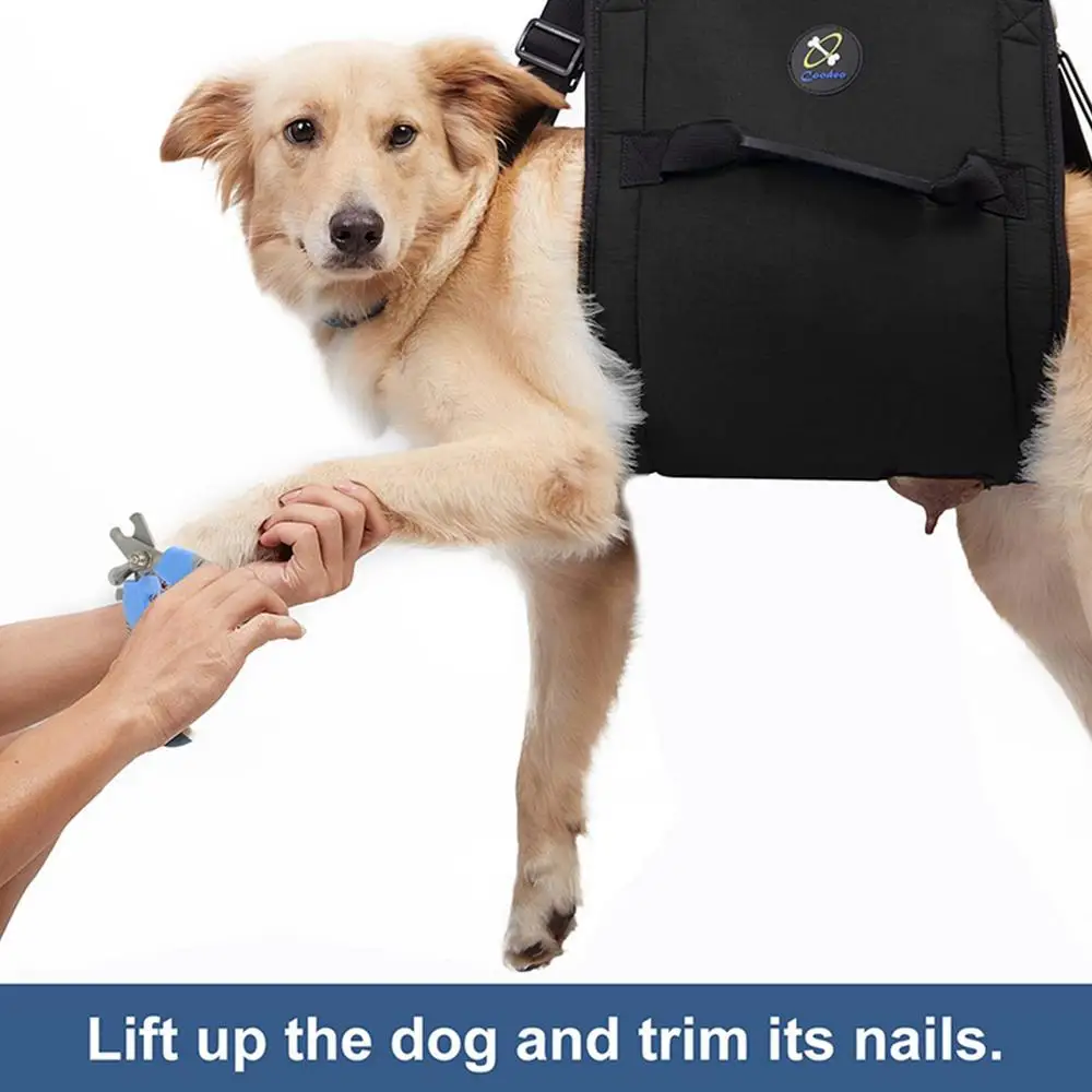 Dog Sling Carrier For Large Dogs Support Recovery Sling Breathable Stair Helper Adjustable Heavy Duty Walking Aid For Disabled