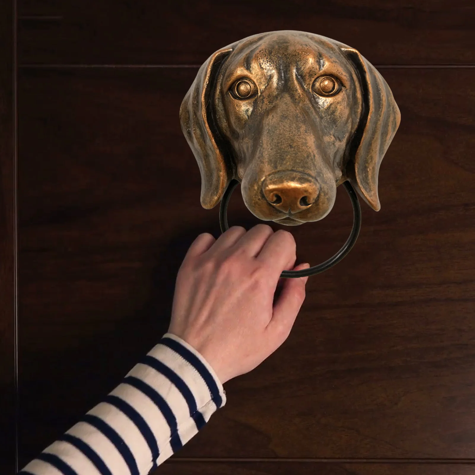 Creative Animals Head Door Knocker Retro Resin Crafts Personalized Wall Art Decoration For Front Door Heavy Gothic Door Knockers