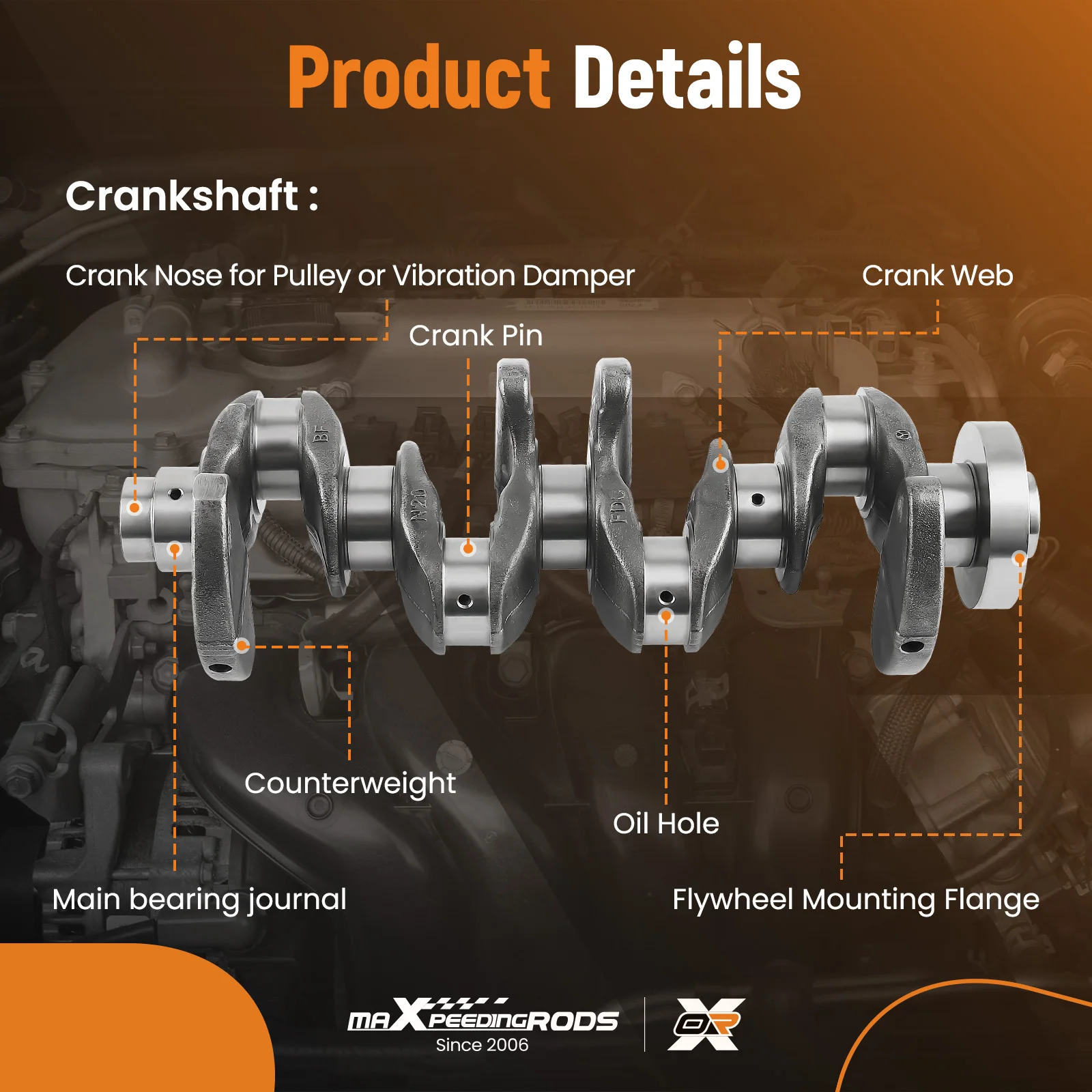 N20 Engine Crankshaft w/Main Rod Bearing Set For BMW X1 X3 X5 220i 320/328i 2.0L