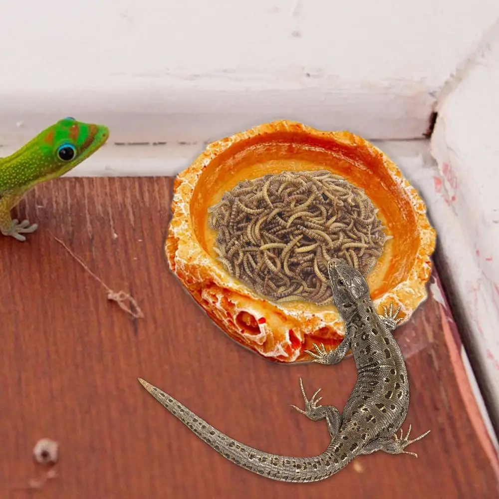 Reptile Water Dish 2pcs Resin Reptile Food Water Dishes Reptile Water Bowls Tank Aquarium Accessory Reptile Feeding Dish For