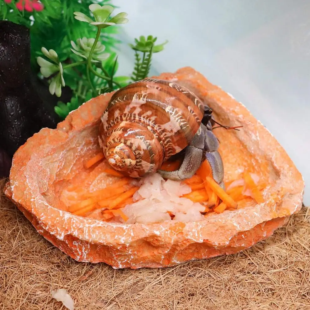 Reptile Water Dish 2pcs Resin Reptile Food Water Dishes Reptile Water Bowls Tank Aquarium Accessory Reptile Feeding Dish For