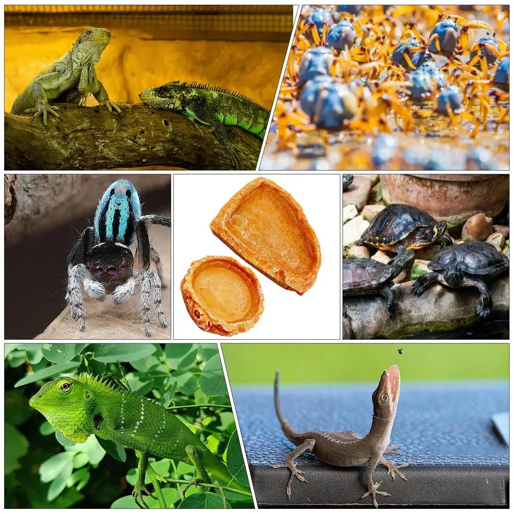 Reptile Water Dish 2pcs Resin Reptile Food Water Dishes Reptile Water Bowls Tank Aquarium Accessory Reptile Feeding Dish For