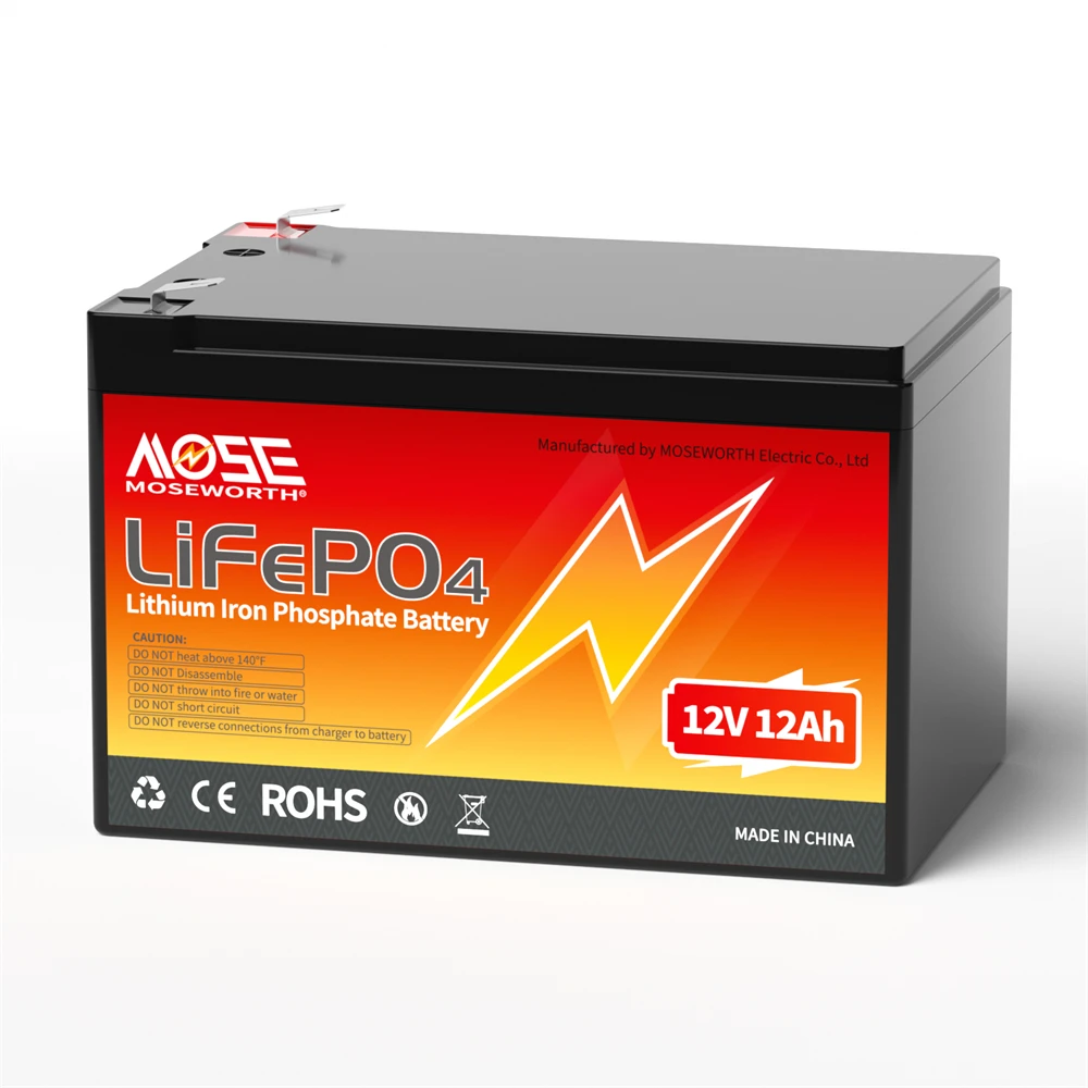 6Ah 10Ah 12Ah 20Ah 30Ah 12V 100Ah LiFePO4 Battery Pack BMS 200Ah 300Ah Lithium Iron Phosphate Rechargeable Battery Bateria