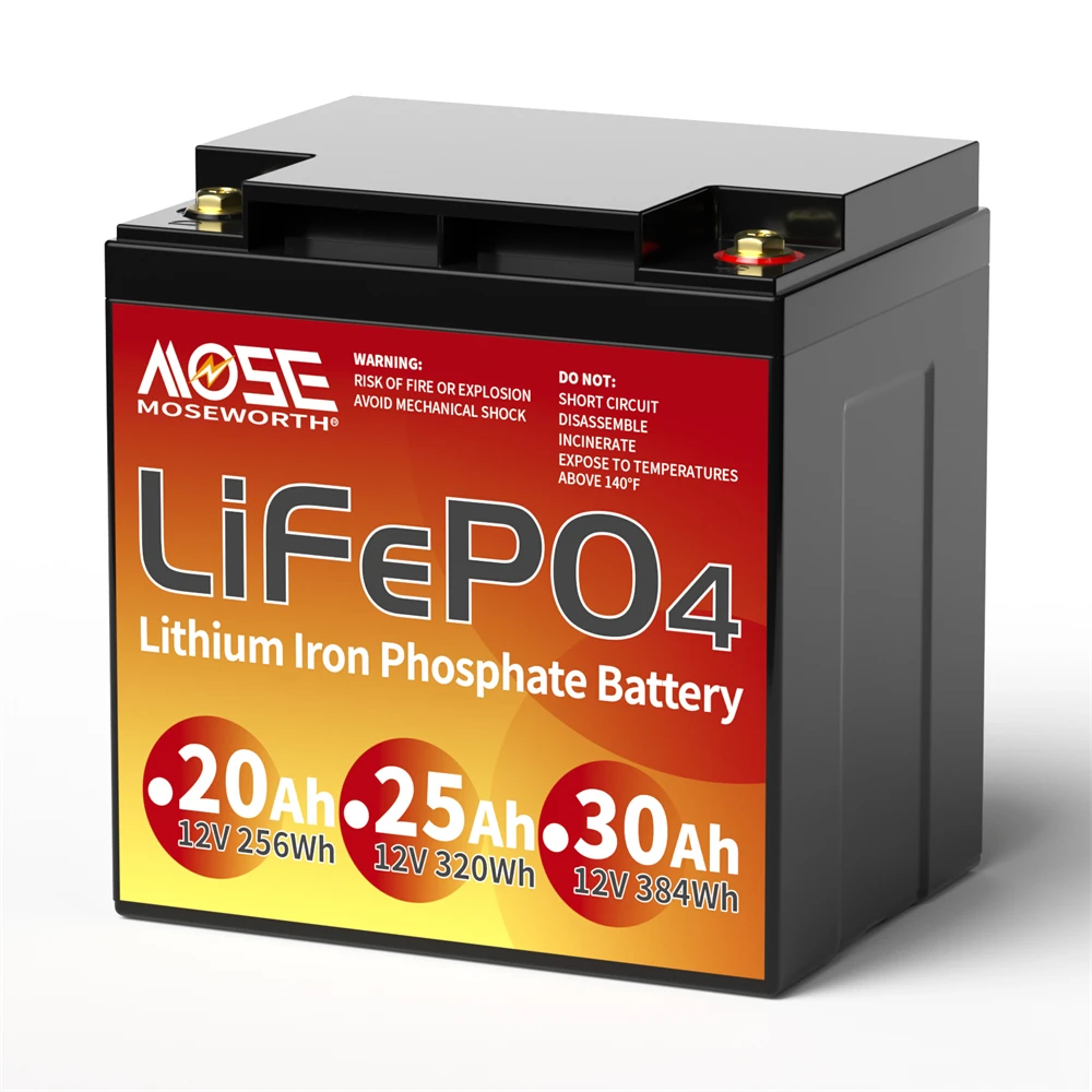 6Ah 10Ah 12Ah 20Ah 30Ah 12V 100Ah LiFePO4 Battery Pack BMS 200Ah 300Ah Lithium Iron Phosphate Rechargeable Battery Bateria