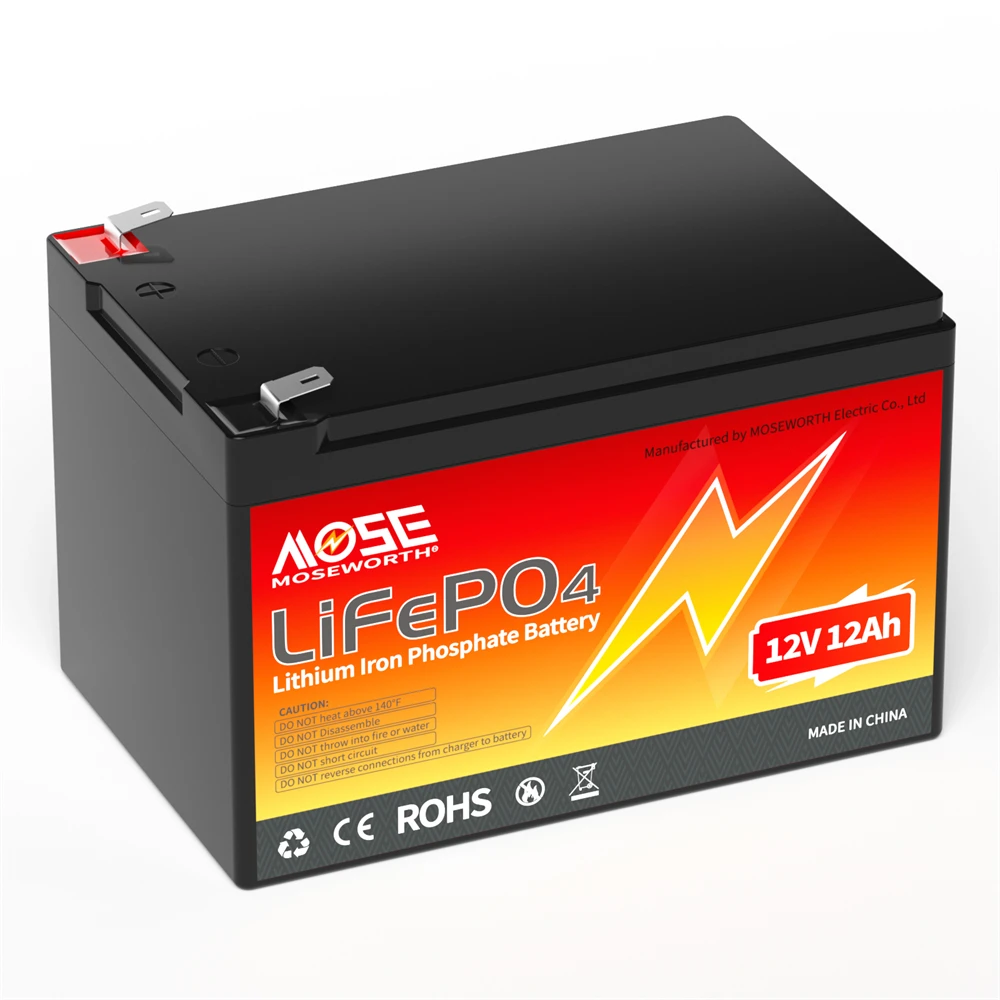 6Ah 10Ah 12Ah 20Ah 30Ah 12V 100Ah LiFePO4 Battery Pack BMS 200Ah 300Ah Lithium Iron Phosphate Rechargeable Battery Bateria