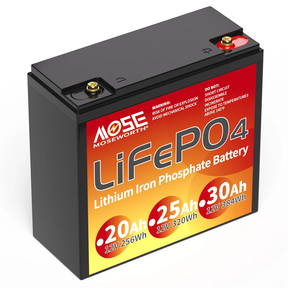 6Ah 10Ah 12Ah 20Ah 30Ah 12V 100Ah LiFePO4 Battery Pack BMS 200Ah 300Ah Lithium Iron Phosphate Rechargeable Battery Bateria