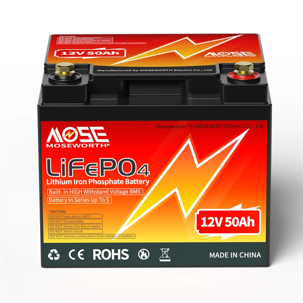 6Ah 10Ah 12Ah 20Ah 30Ah 12V 100Ah LiFePO4 Battery Pack BMS 200Ah 300Ah Lithium Iron Phosphate Rechargeable Battery Bateria