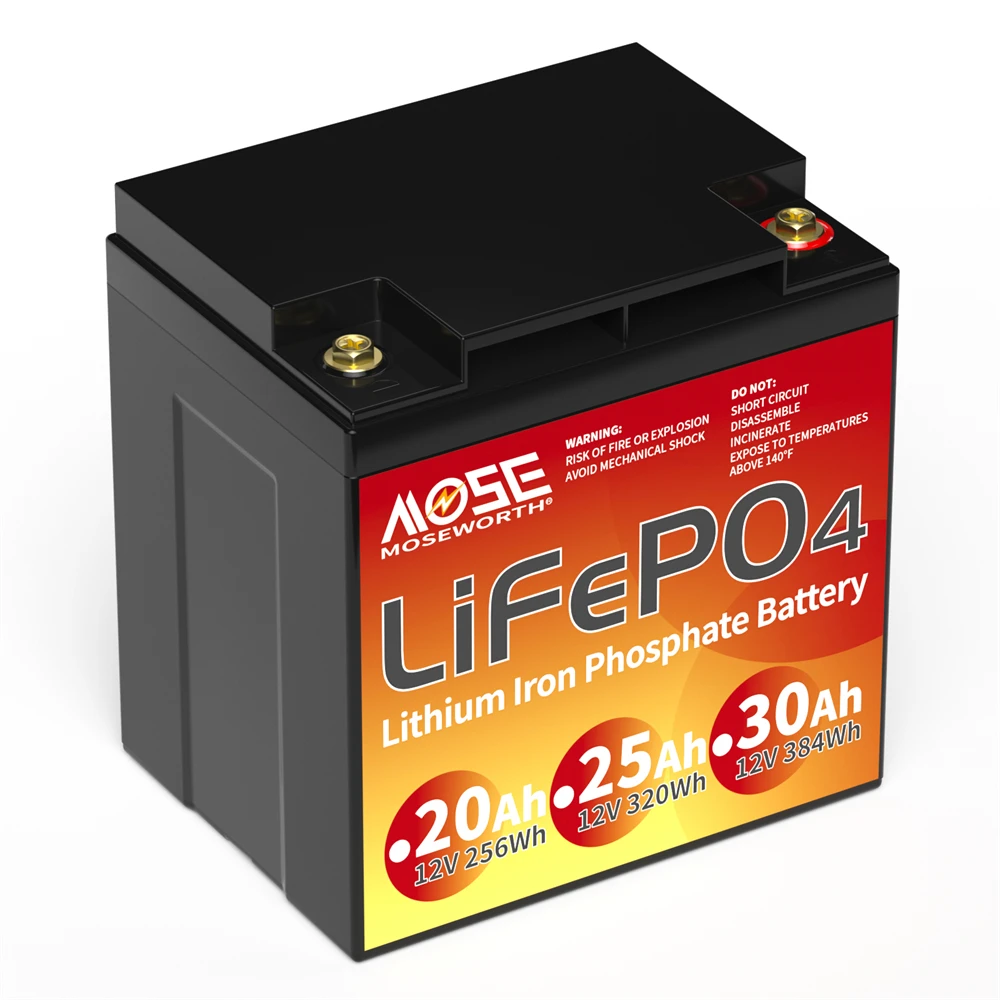 6Ah 10Ah 12Ah 20Ah 30Ah 12V 100Ah LiFePO4 Battery Pack BMS 200Ah 300Ah Lithium Iron Phosphate Rechargeable Battery Bateria