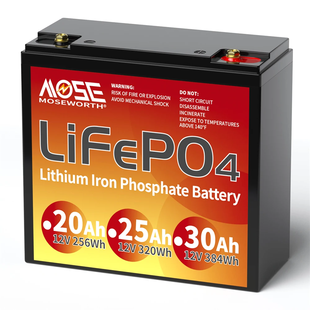 6Ah 10Ah 12Ah 20Ah 30Ah 12V 100Ah LiFePO4 Battery Pack BMS 200Ah 300Ah Lithium Iron Phosphate Rechargeable Battery Bateria