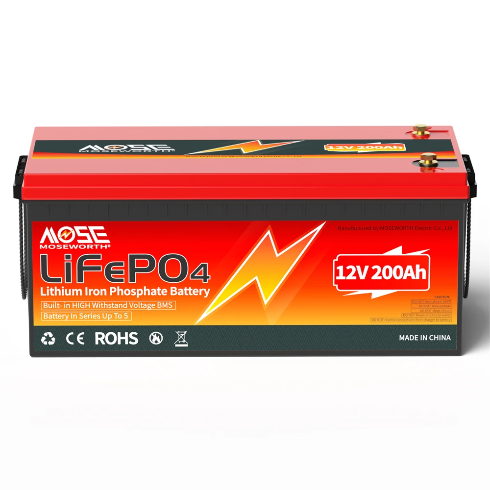 6Ah 10Ah 12Ah 20Ah 30Ah 12V 100Ah LiFePO4 Battery Pack BMS 200Ah 300Ah Lithium Iron Phosphate Rechargeable Battery Bateria