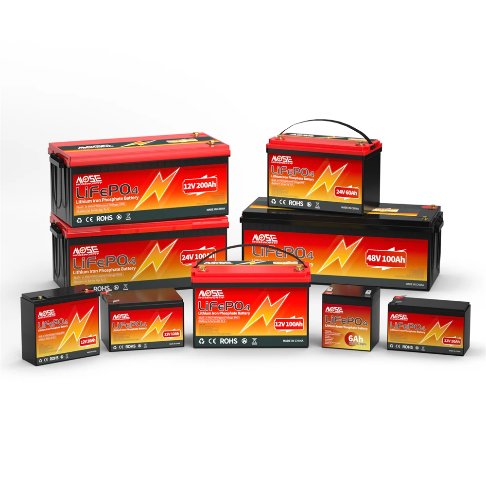 6Ah 10Ah 12Ah 20Ah 30Ah 12V 100Ah LiFePO4 Battery Pack BMS 200Ah 300Ah Lithium Iron Phosphate Rechargeable Battery Bateria