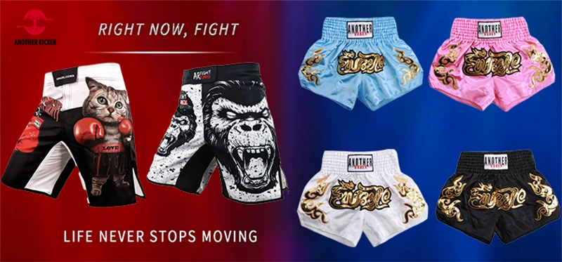 Muay Thai Shorts 2024 New Boxing Shorts Women Men Child Embroidery Kickboxing Training Pants Sanda Martial Arts Fight Equipment
