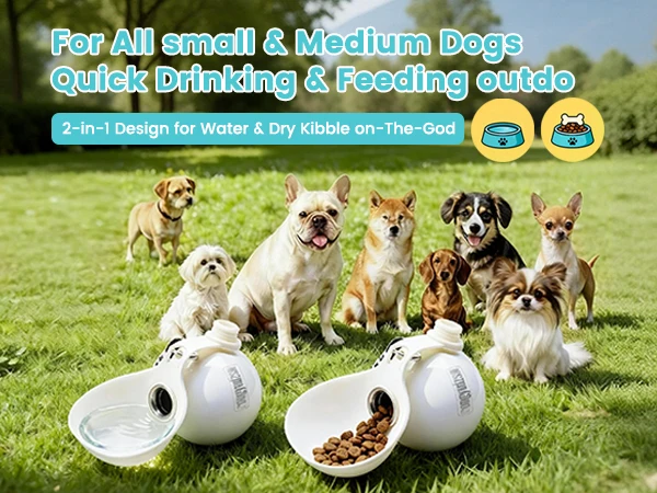 Portable Dog Water Bottle, 10 oz Stainless Steel Pet Travel Dispenser with Silicone Foldable Bowl, Leak Proof Tumbler