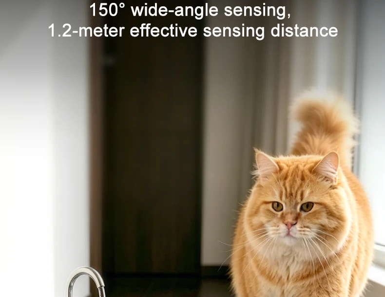 Smart Cordless Cat Water Fountain with 304 Stainless Steel 2.2L Capacity Pet Water Dispenser Automatic Feeder for Cats And Do