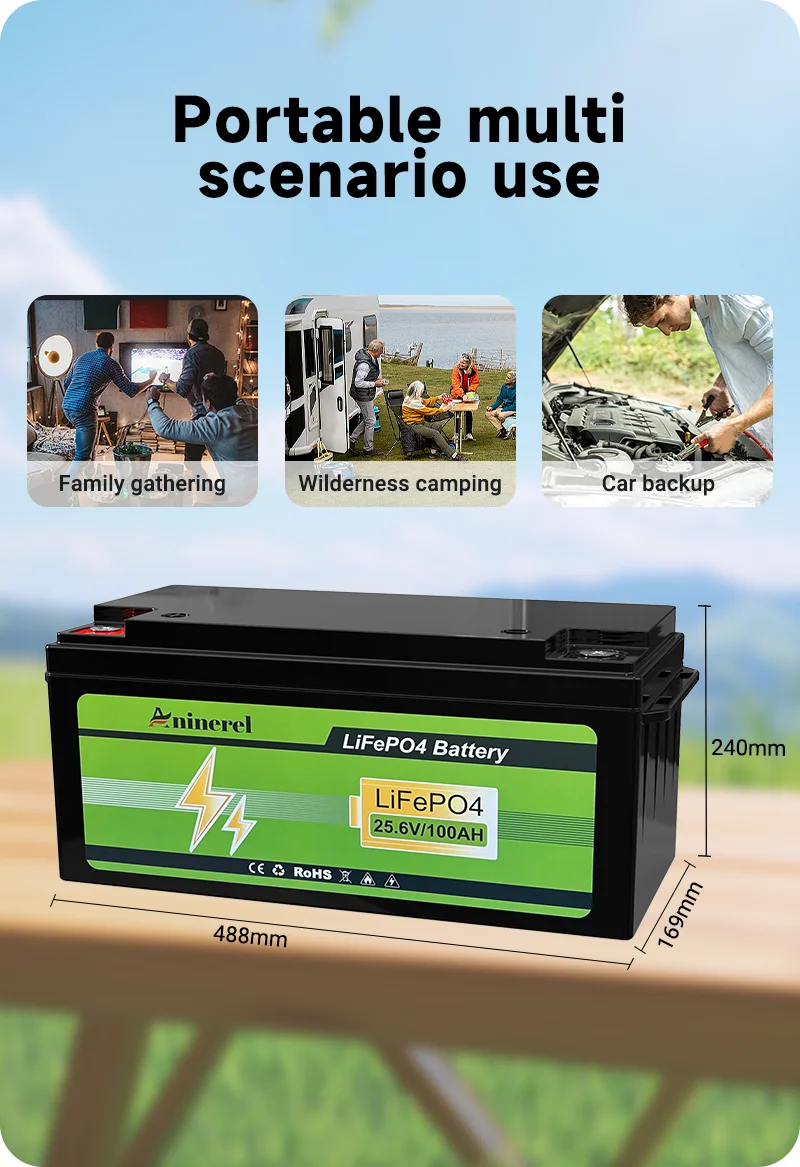 Aninerel 24V 100Ah 2560Wh Lithium LiFePO4 Battery with 100A BMS Perfect for RV Golf Cart Solar Power System Trolling Motor