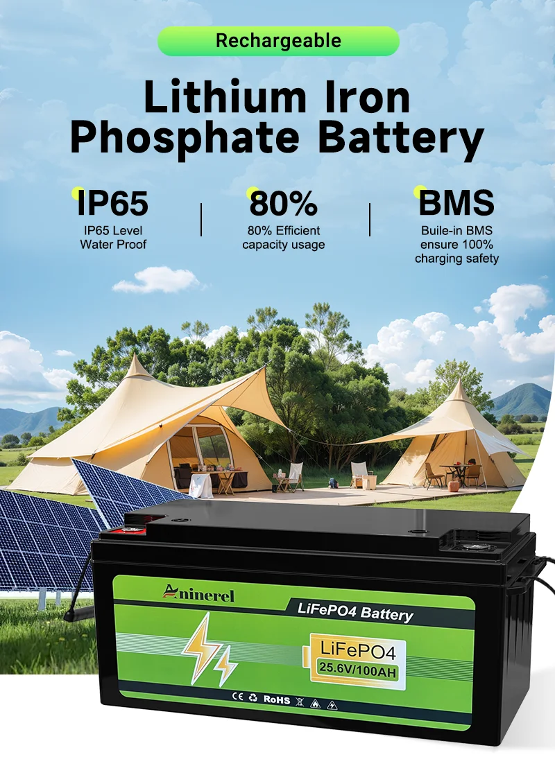Aninerel 24V 100Ah 2560Wh Lithium LiFePO4 Battery with 100A BMS Perfect for RV Golf Cart Solar Power System Trolling Motor
