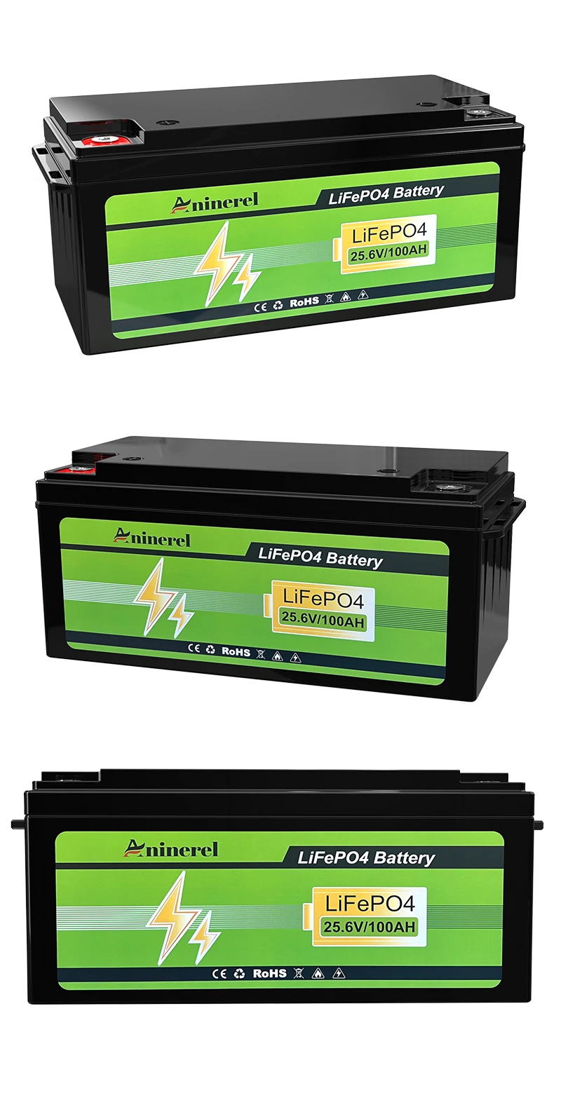 Aninerel 24V 100Ah 2560Wh Lithium LiFePO4 Battery with 100A BMS Perfect for RV Golf Cart Solar Power System Trolling Motor