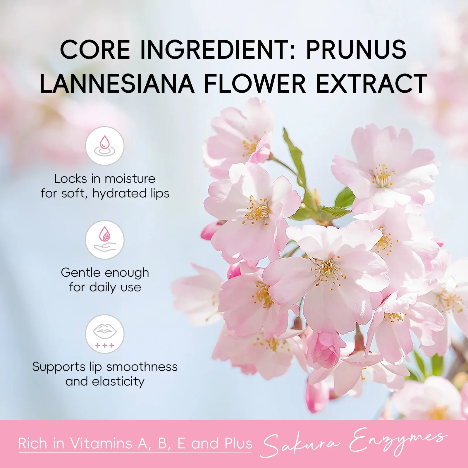 LAIKOU Sakura Lip Balm Nourishing Refreshing Hydrating and Lasting Moisturizing Preventing Cracking Repairing for Daily Lip Care