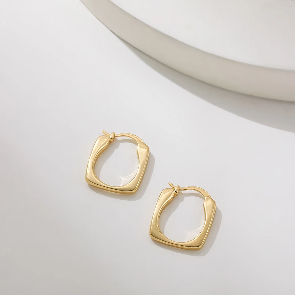 New Trendy Geometric Twisted Thick Hoop Earrings Fashion Gold Color Big Round Circle Earrings for Women Punk Hiphop Jewelry Gift