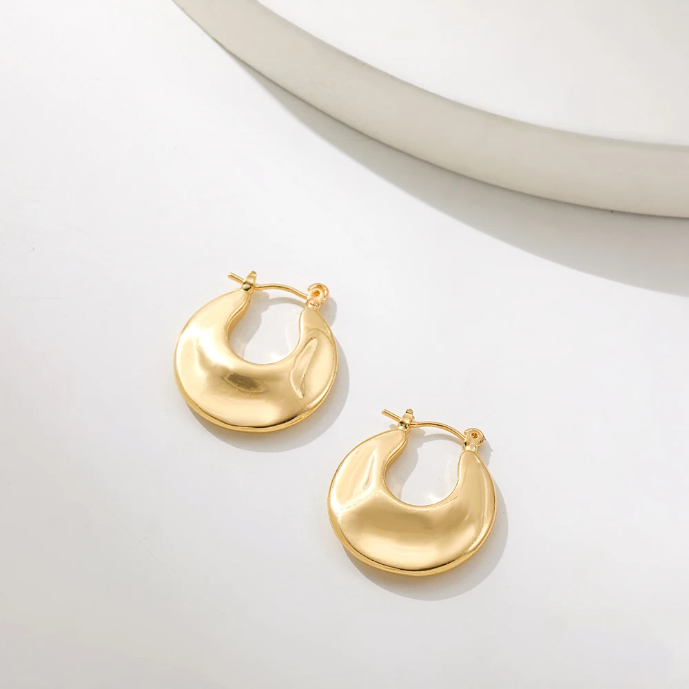New Trendy Geometric Twisted Thick Hoop Earrings Fashion Gold Color Big Round Circle Earrings for Women Punk Hiphop Jewelry Gift