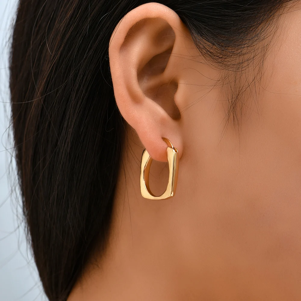 New Trendy Geometric Twisted Thick Hoop Earrings Fashion Gold Color Big Round Circle Earrings for Women Punk Hiphop Jewelry Gift