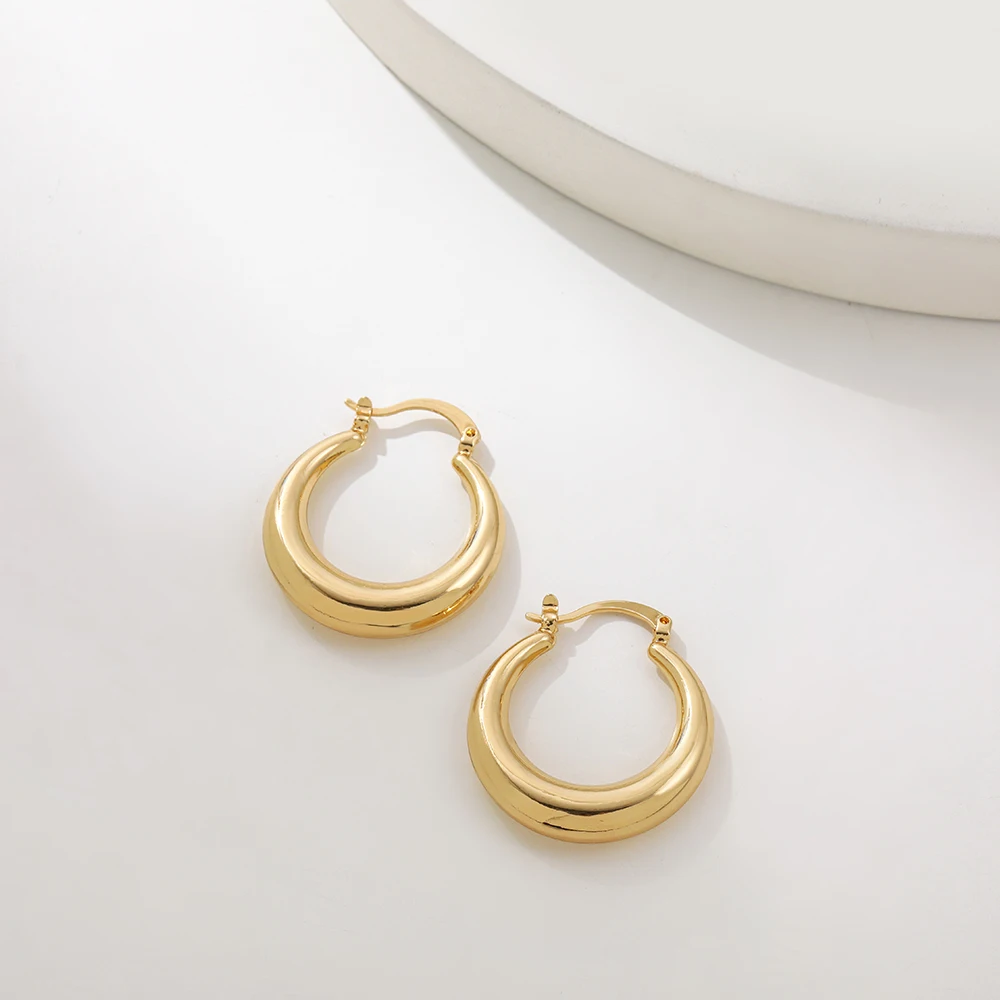 New Trendy Geometric Twisted Thick Hoop Earrings Fashion Gold Color Big Round Circle Earrings for Women Punk Hiphop Jewelry Gift