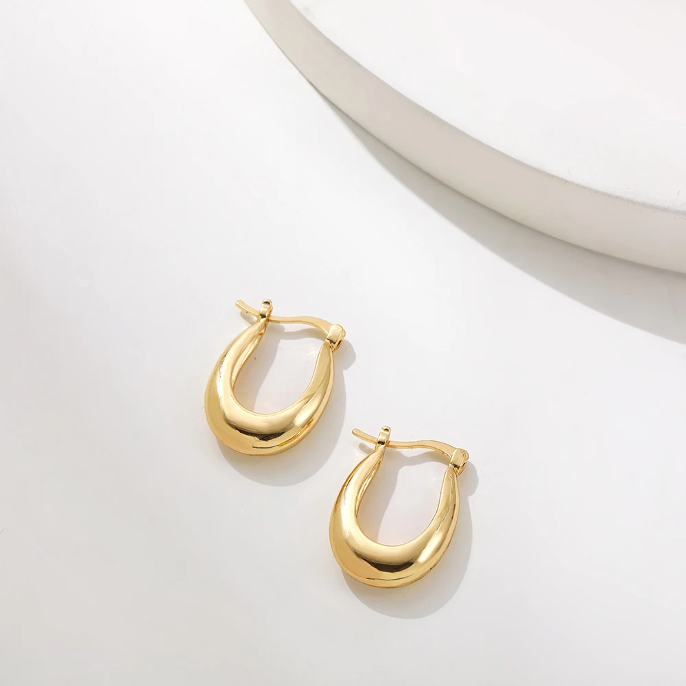 New Trendy Geometric Twisted Thick Hoop Earrings Fashion Gold Color Big Round Circle Earrings for Women Punk Hiphop Jewelry Gift