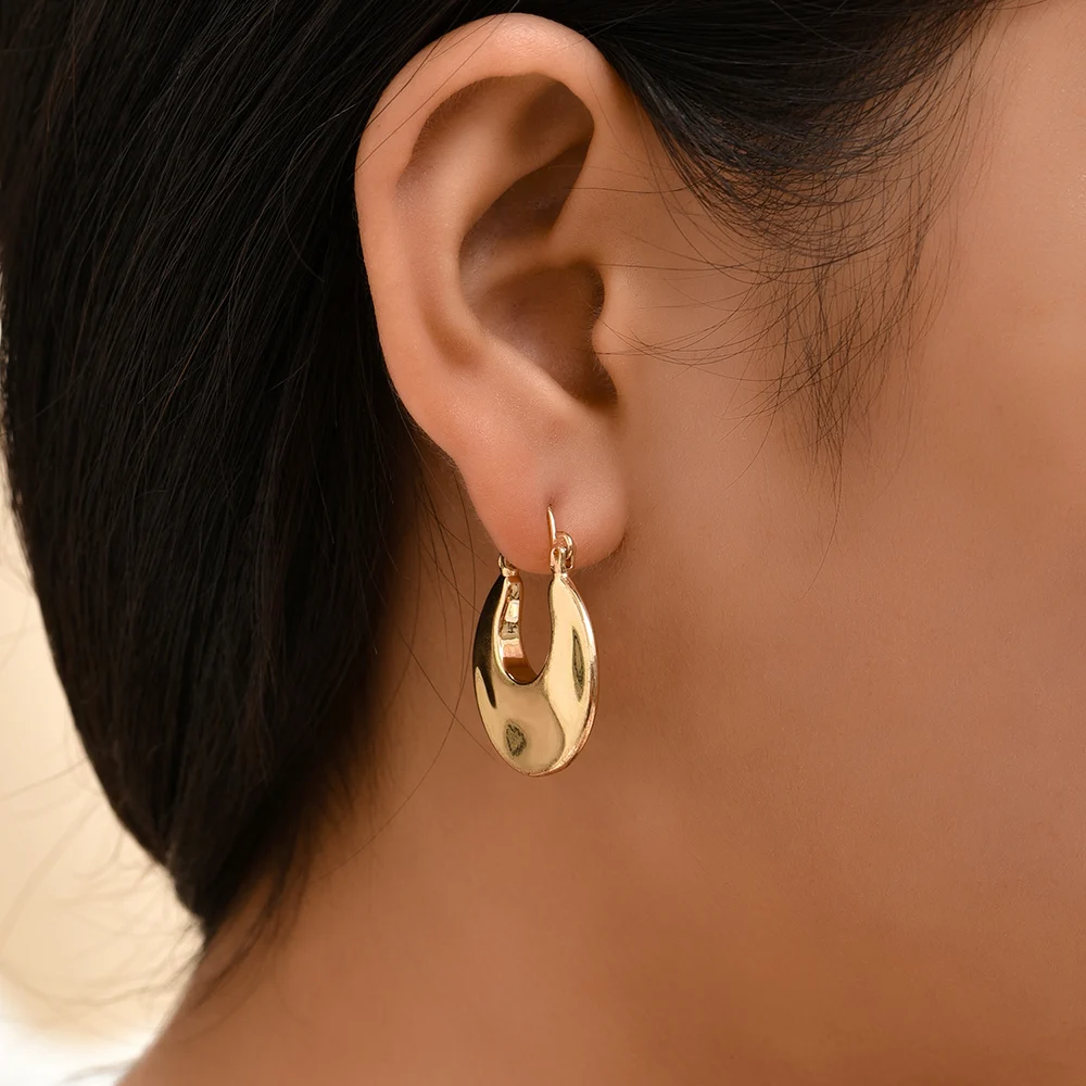 New Trendy Geometric Twisted Thick Hoop Earrings Fashion Gold Color Big Round Circle Earrings for Women Punk Hiphop Jewelry Gift