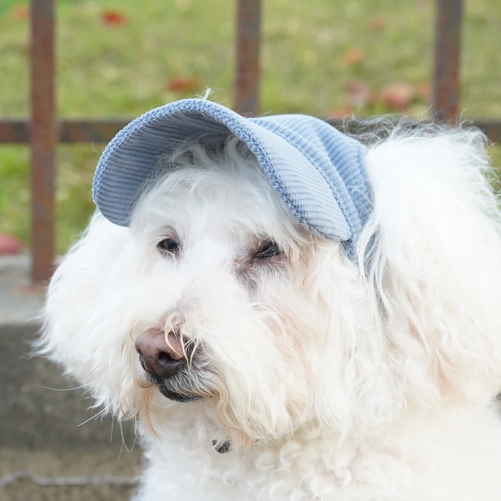 Fashionable Pet Dog Hat with Adjustable Sun Protection XS to XL Size for Small Medium Large Dogs Pet Outdoor Suppies Accessories
